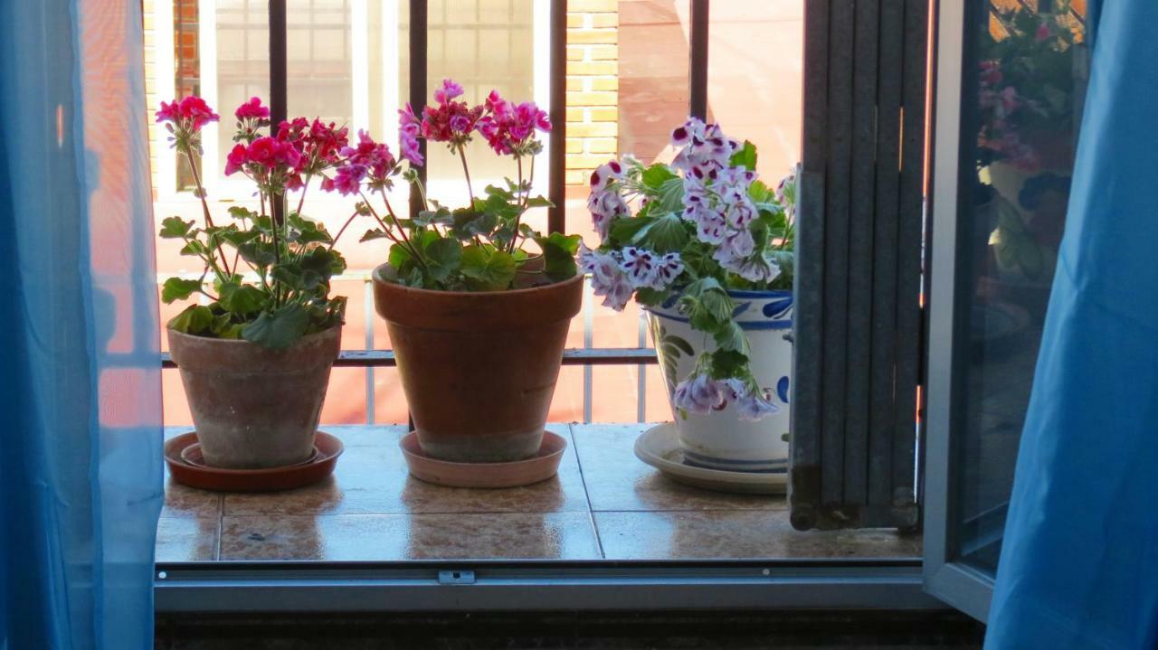 Patios De San Pedro Apartment Cordoba Exterior photo