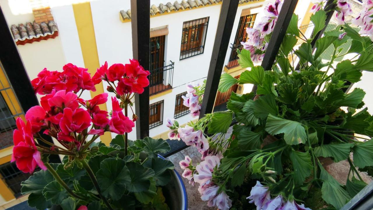 Patios De San Pedro Apartment Cordoba Exterior photo